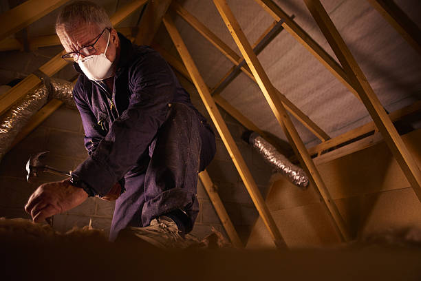 Best Insulation Installation Services in Ellsworth, ME